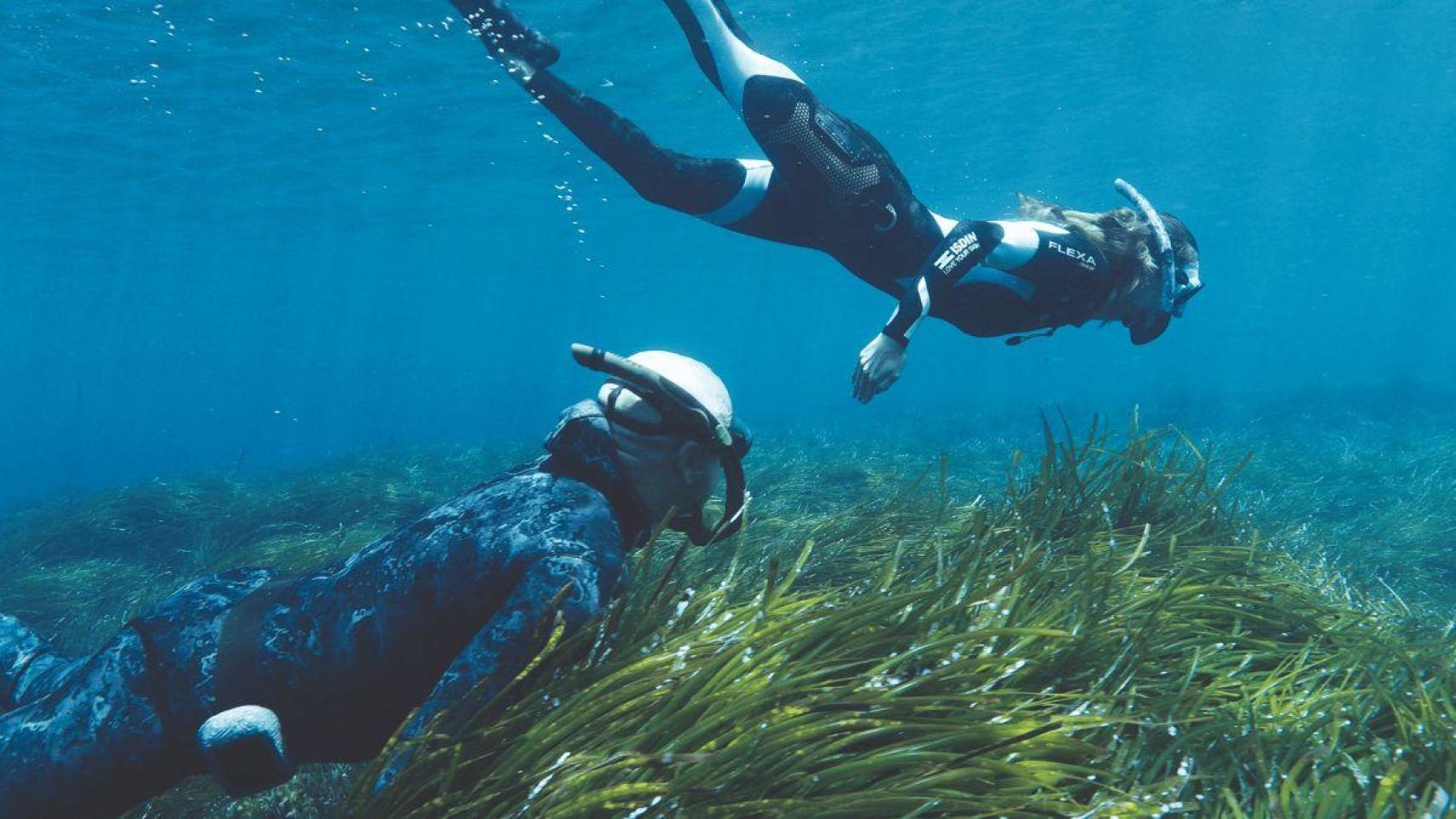 Submarinistas en una pradera de posidonia | Foto de BWA