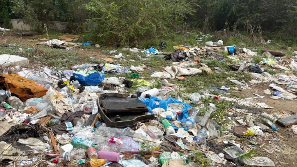 Basura acumulada en la calle Estrelles de La Mina