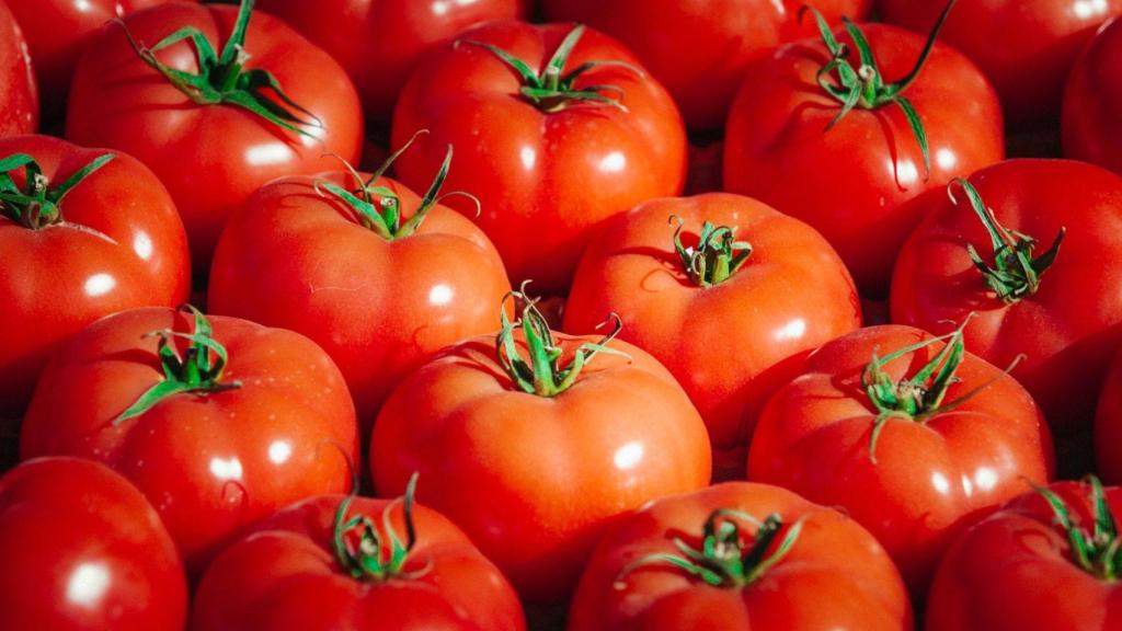 Tomates