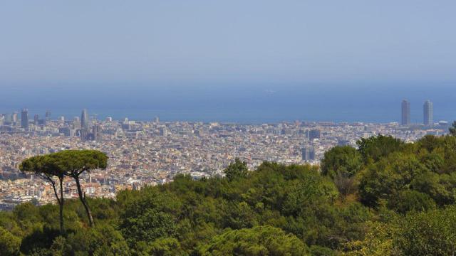 Panorámica de Barcelona desde Collserola