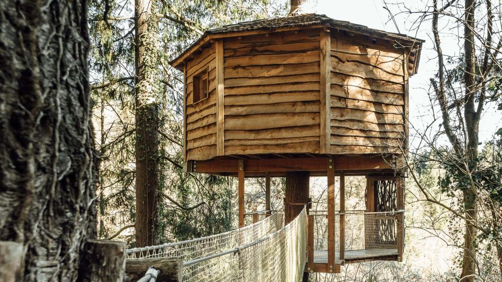 Cabaña de madera entre árboles