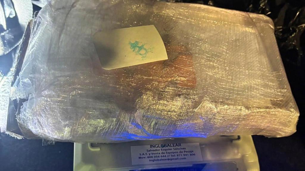 Cocaína escondida en un ferry que partió de Barcelona hacia Mallorca