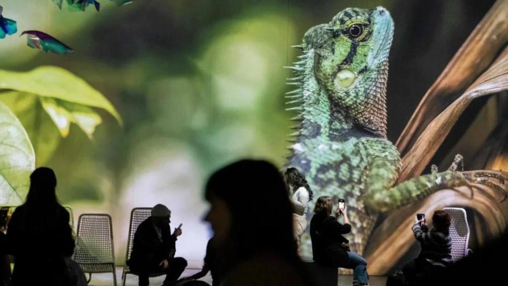 OASIS immersion, per Jean-Philip Lessard