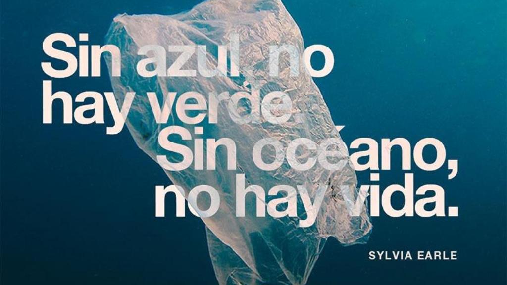 Imagen oficial de la jornada de limpieza de playas