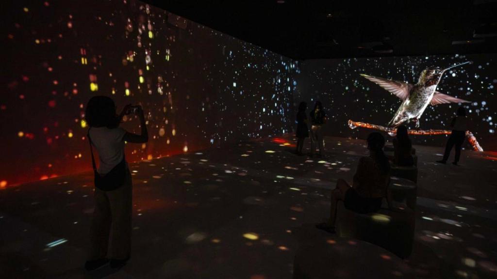 Exposición 'Somos Naturaleza' en CaixaForum de Barcelona