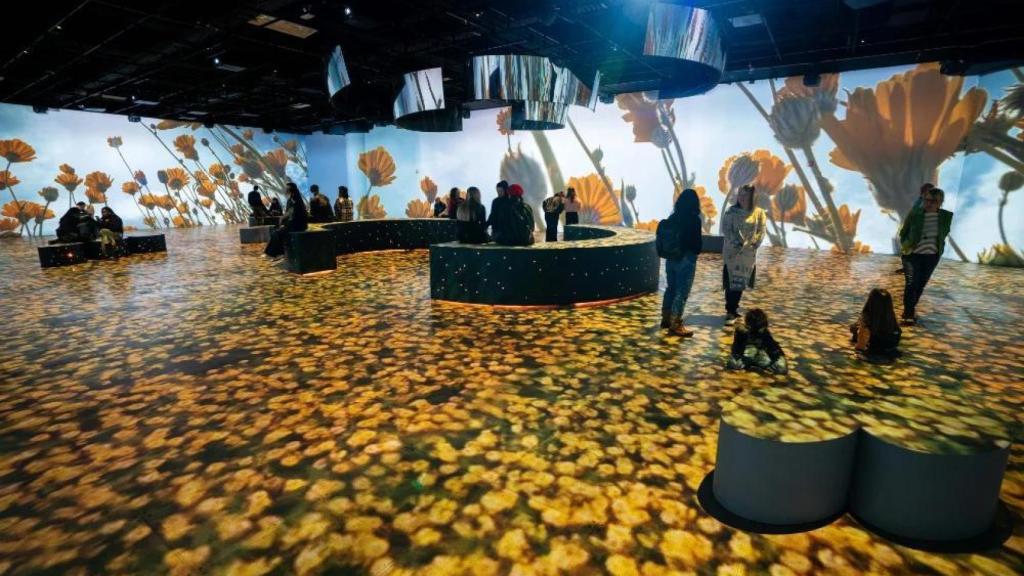 Sala de OASIS immersion, por Jean-Philip Lessard