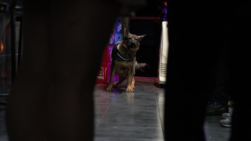 Pla Kanpai Mossos d'Esquadra