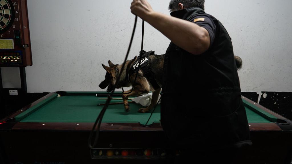 Plan Kanpai Mossos d'Esquadra