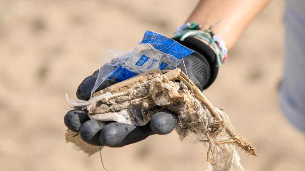Brossa trobada a la Barceloneta