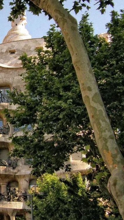 La Pedrera, a Barcelona