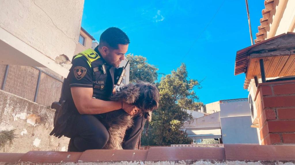Un agente de la Guardia Urbana de Barcelona con el perro maltratado en el barrio del Guinardó