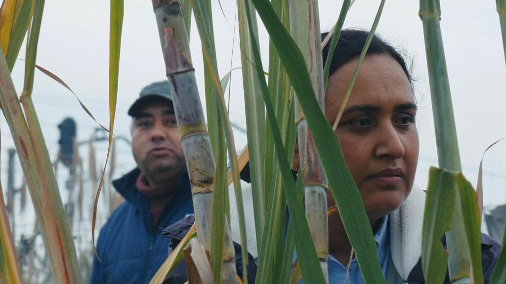 Fotograma de 'Historias del buen valle'