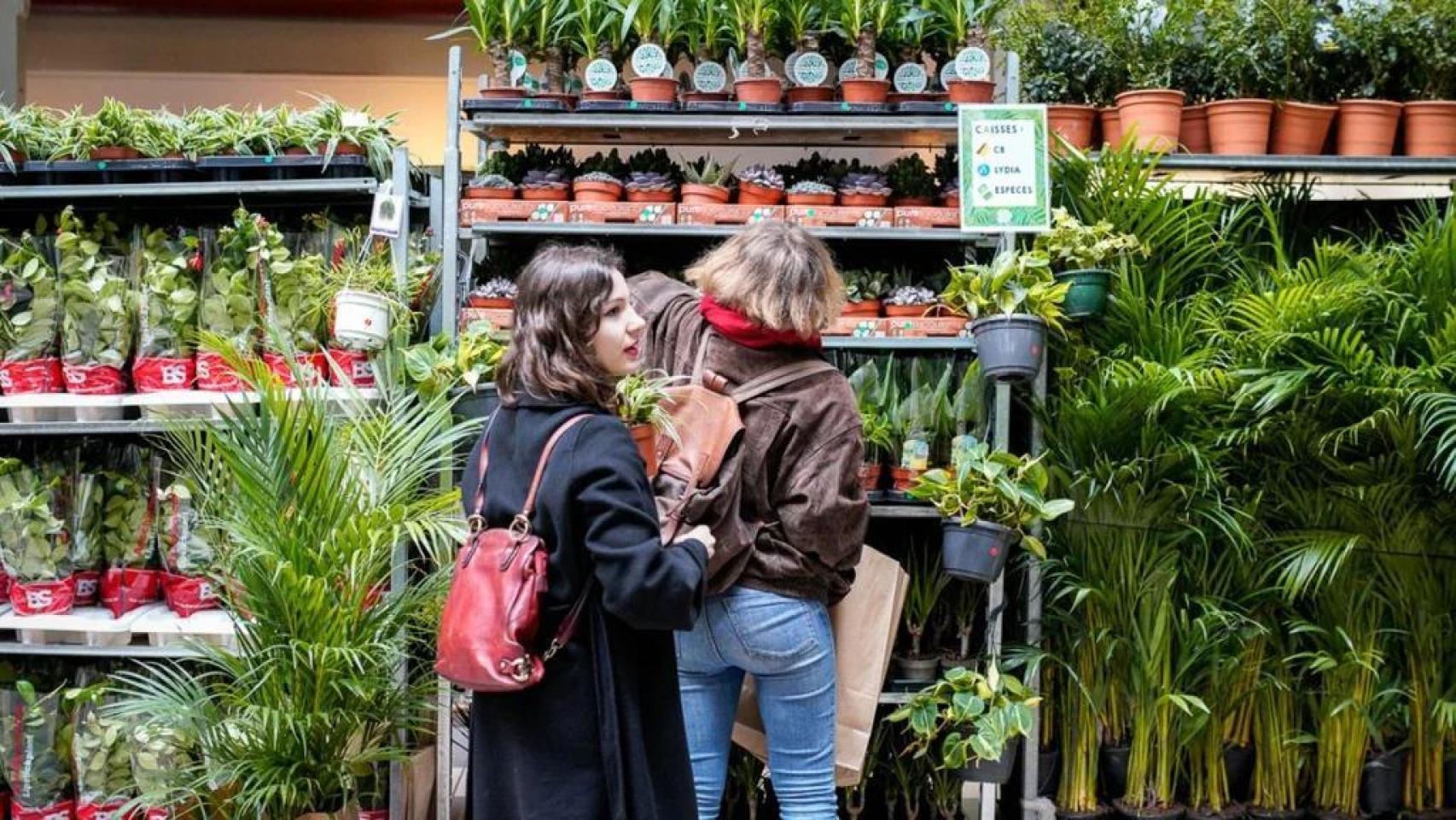 El mercadillo de plantas más famoso de Barcelona