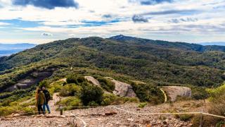 Así será el nuevo corredor ecológico de Cataluña en el Parc Natural de Sant Llorenç i l'Obac