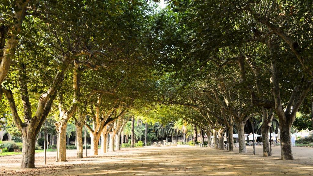 Parc Teodor González