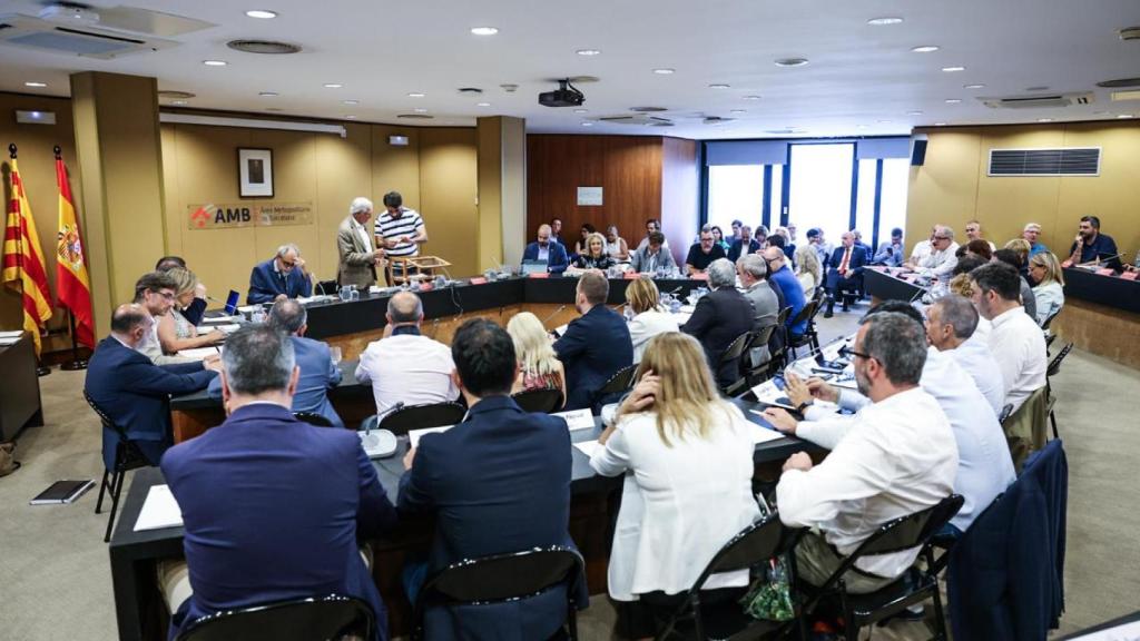 Sesión plenaria del AMB