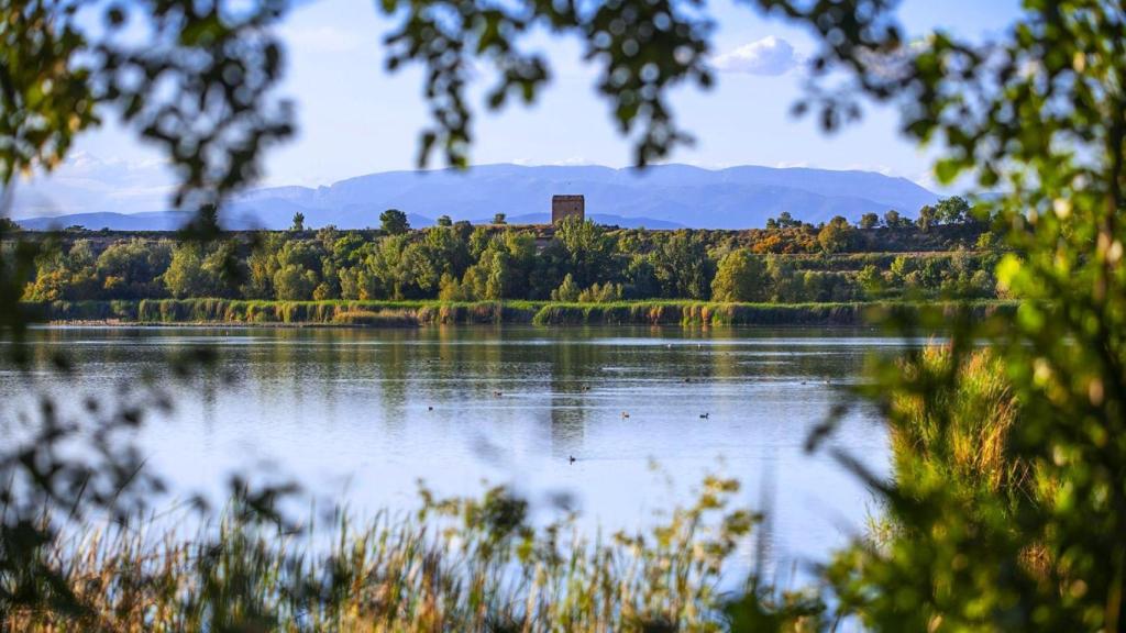 El humedal más grande del interior de Cataluña, el Estany d'Ivars