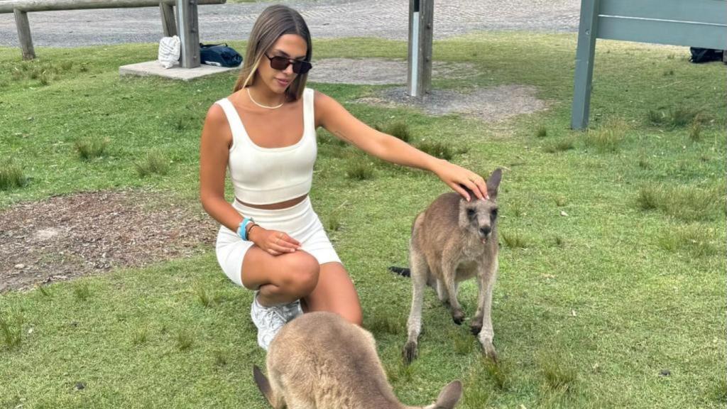 Alba al costat d'uns cangurs a Austràlia