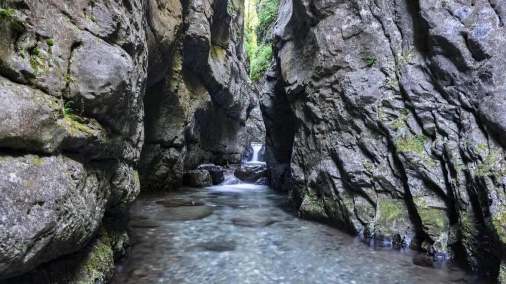 Una ruta entre pasarelas de madera, naturaleza y ríos, por el Estret del Forn