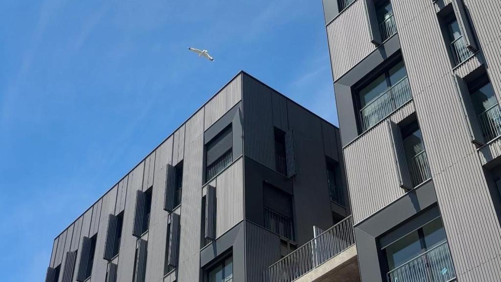 Promoción de viviendas protegidas de la Illa Acer, en la Marina del Prat Vermell