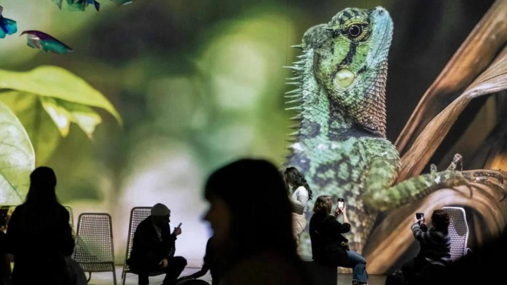 Parte de la exposición Som Natura