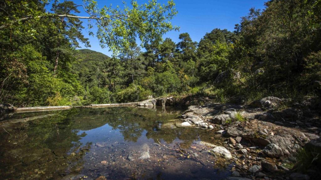Paraje Natural de Poblet