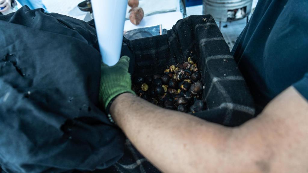Castañas de Benja, en Badalona