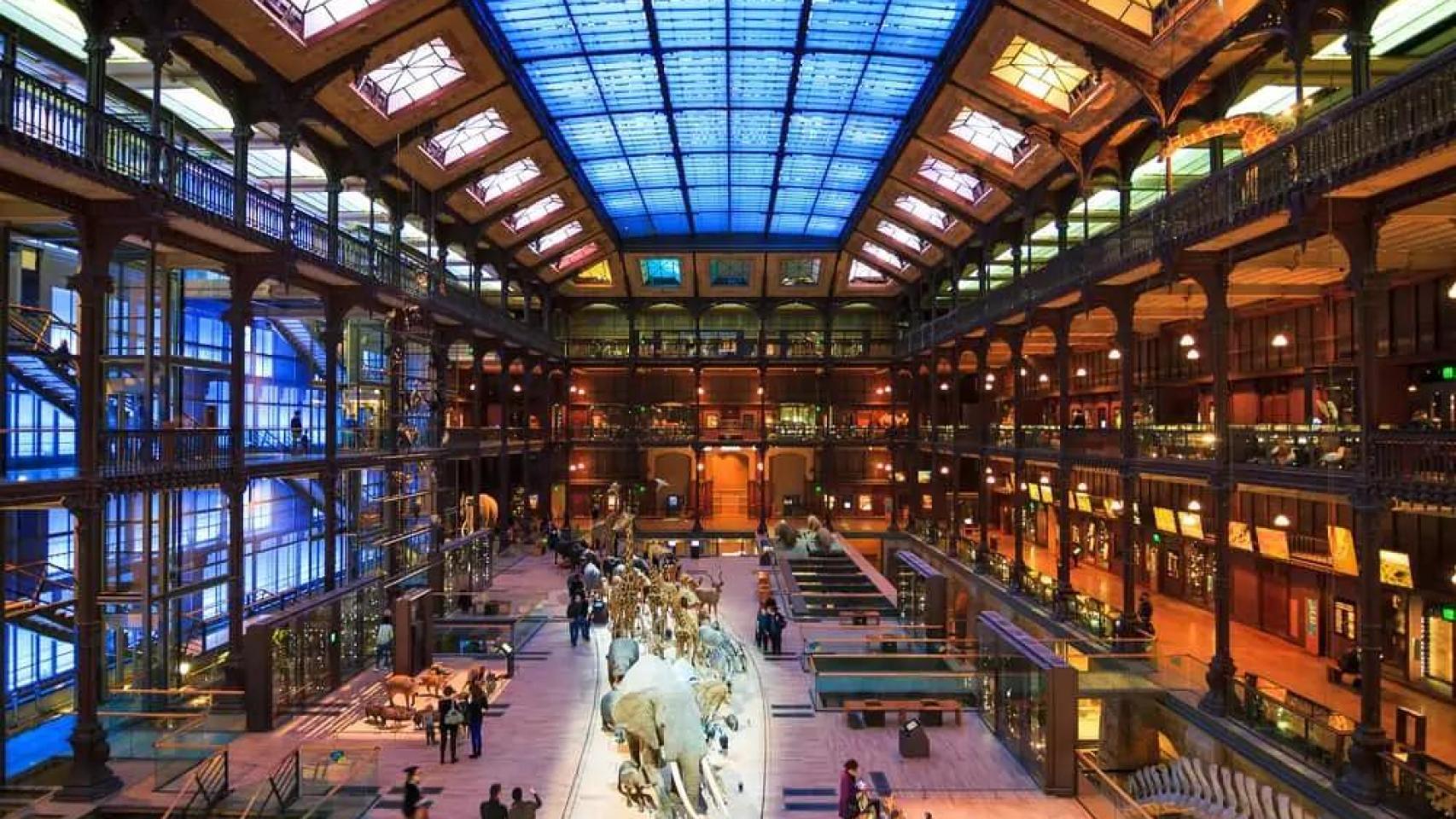 Museo de Historia Natural de París