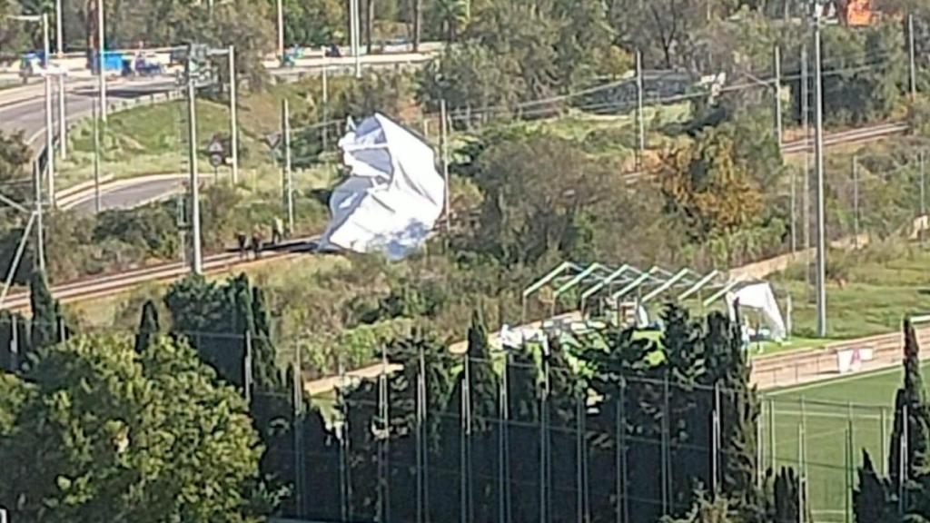 Una gran carpa sale disparada de Sant Adrià