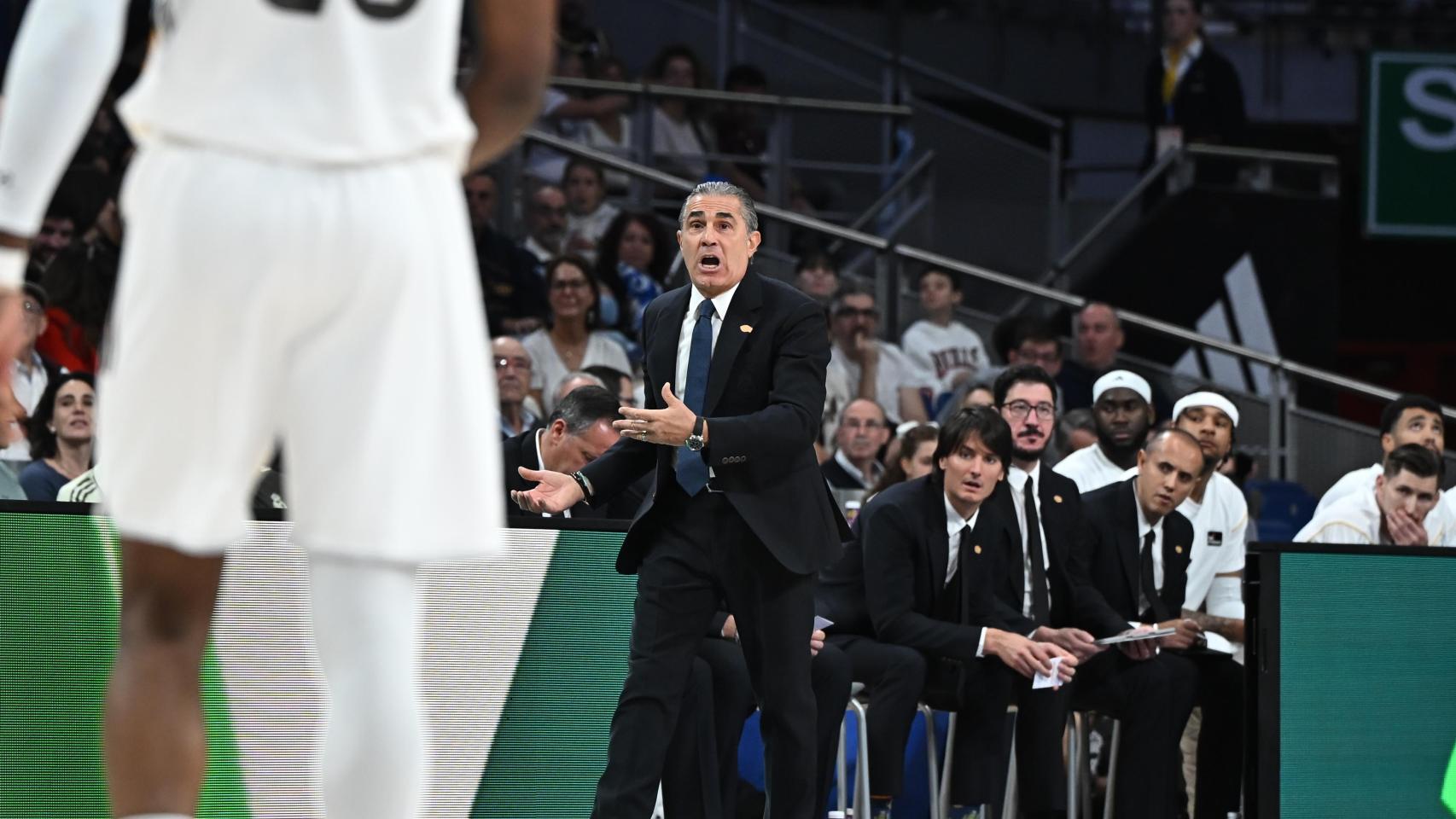 Sergio Scariolo reacciona durante un partido del Real Madrid de basket contra el San Pablo Burgos