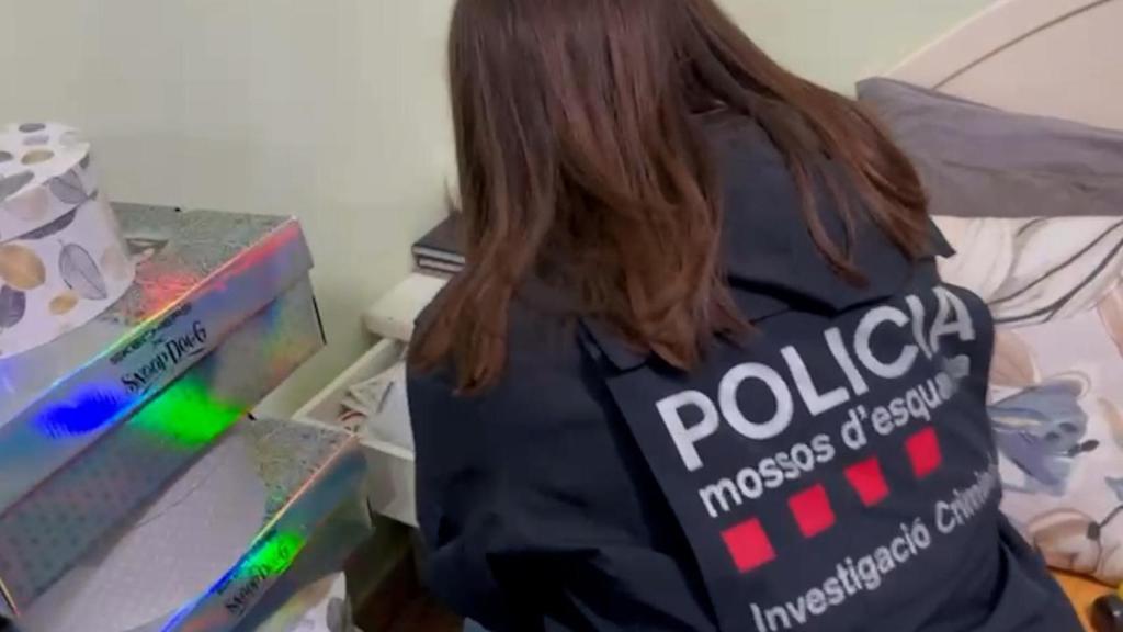 Imatge de l'operatiu dels Mossos d'Esquadra