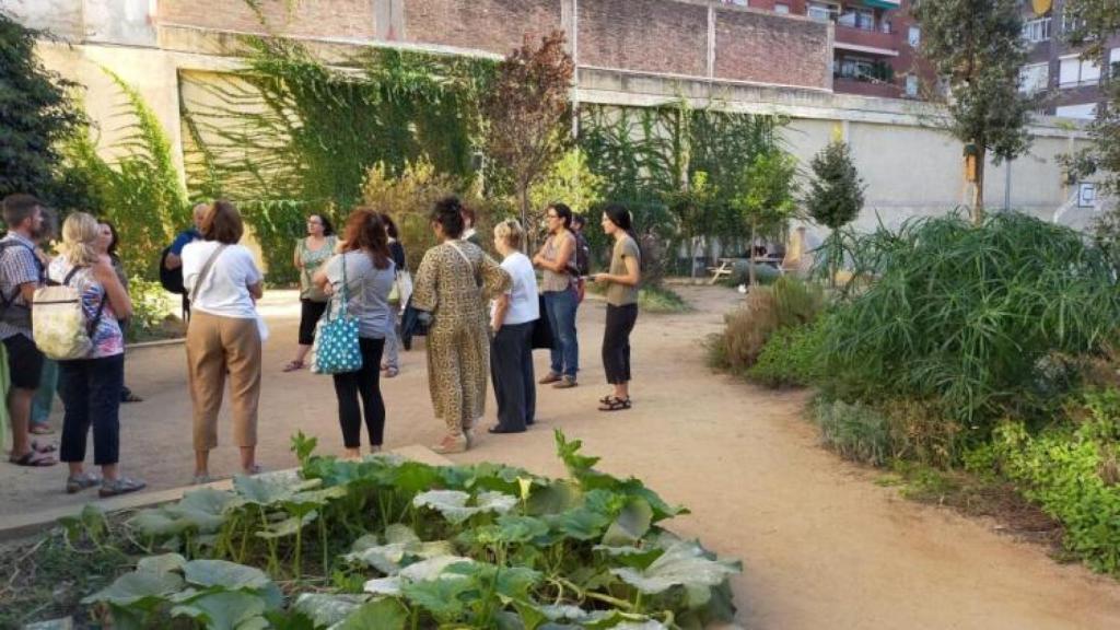 Formació del programa municipal Escoles + Sostenibles