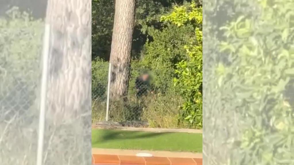 Pillan 'in fraganti' a dos ladrones que intentaban asaltar una casa a plena luz del día en Bellaterra