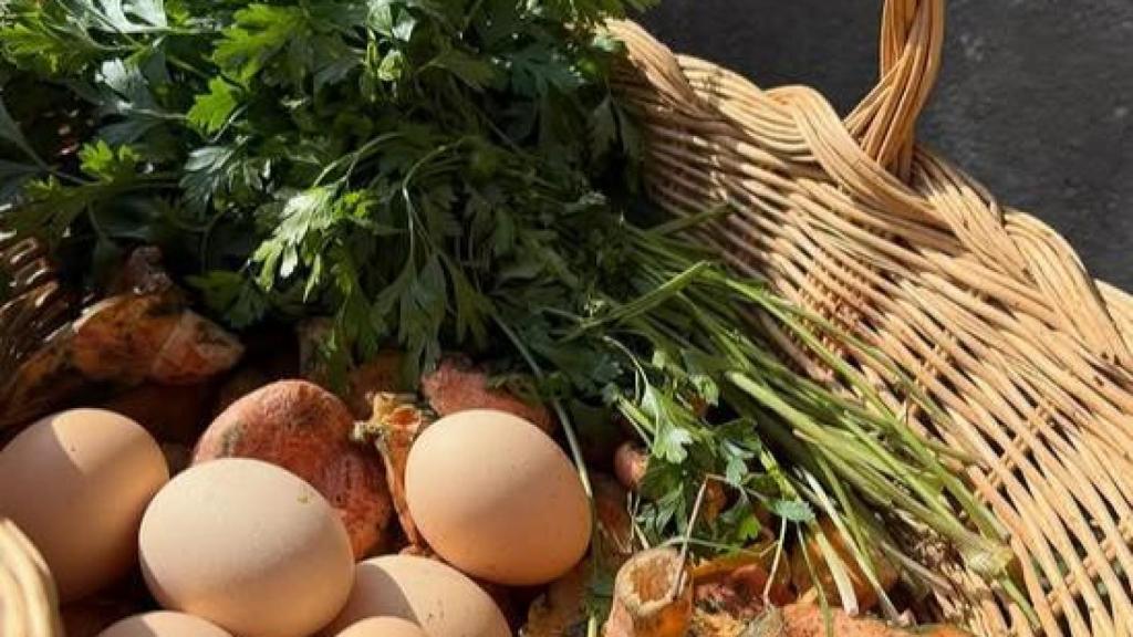 Imatge del seu compte d'instagram