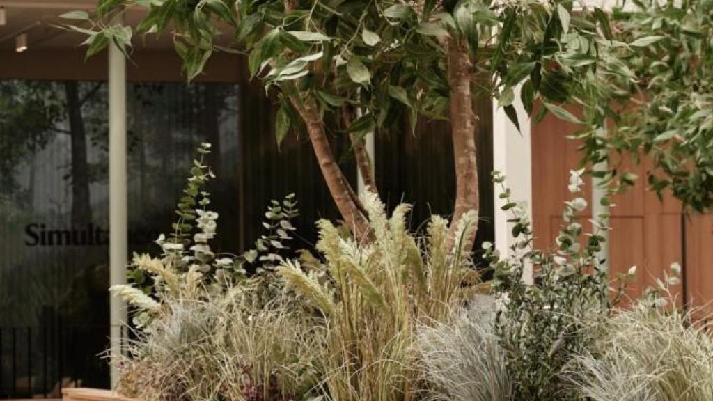 Restaurante Simultáneo