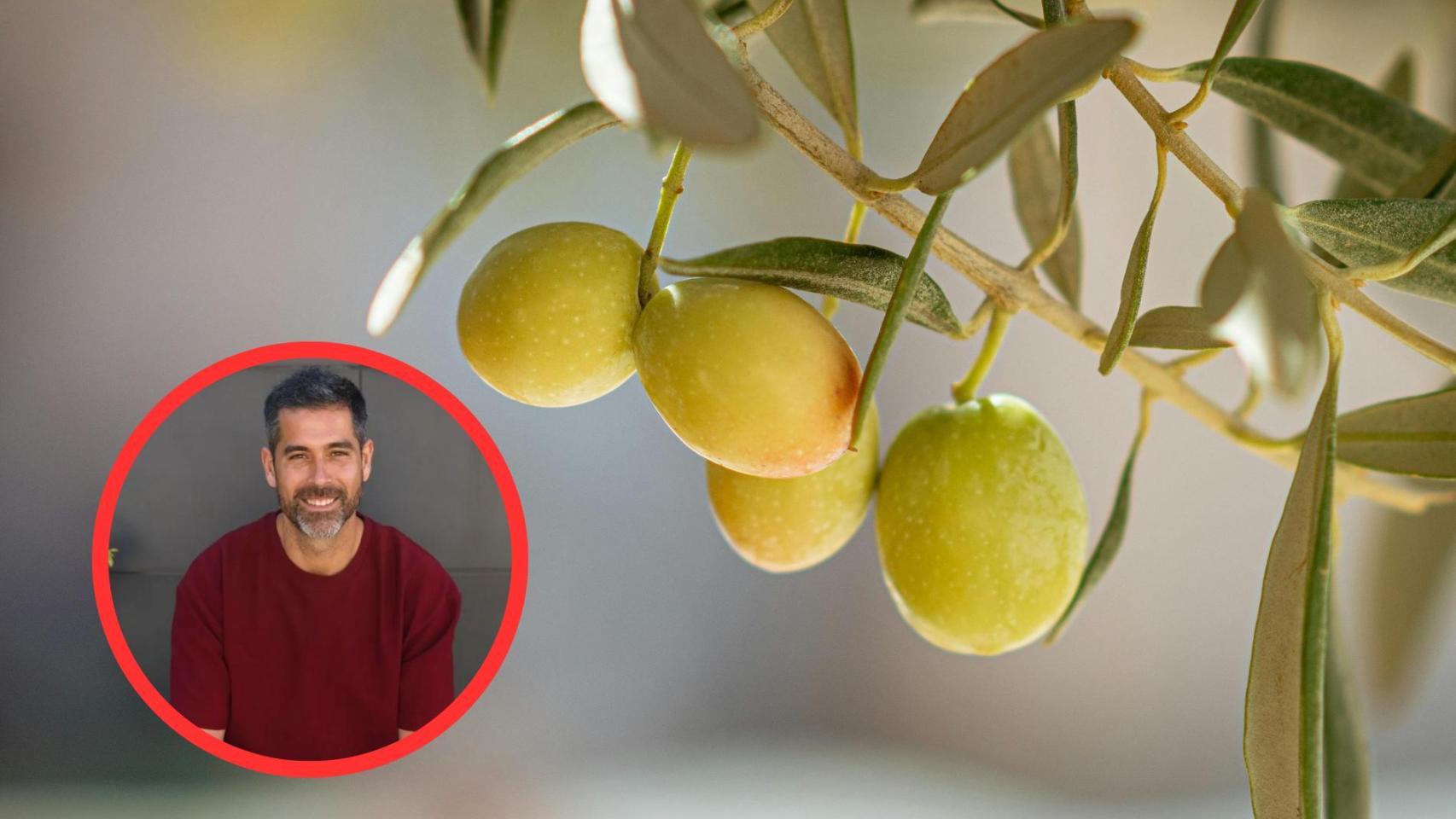 Pablo Ojeda y aceitunas