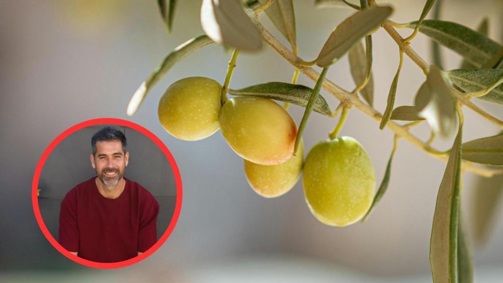 Pablo Ojeda y aceitunas
