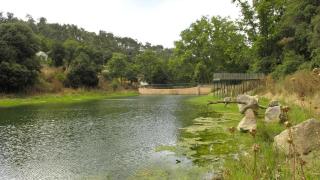 El pantano de Vallvidrera