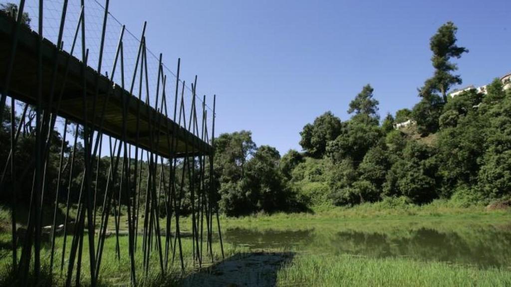 El pantà de Vallvidrera