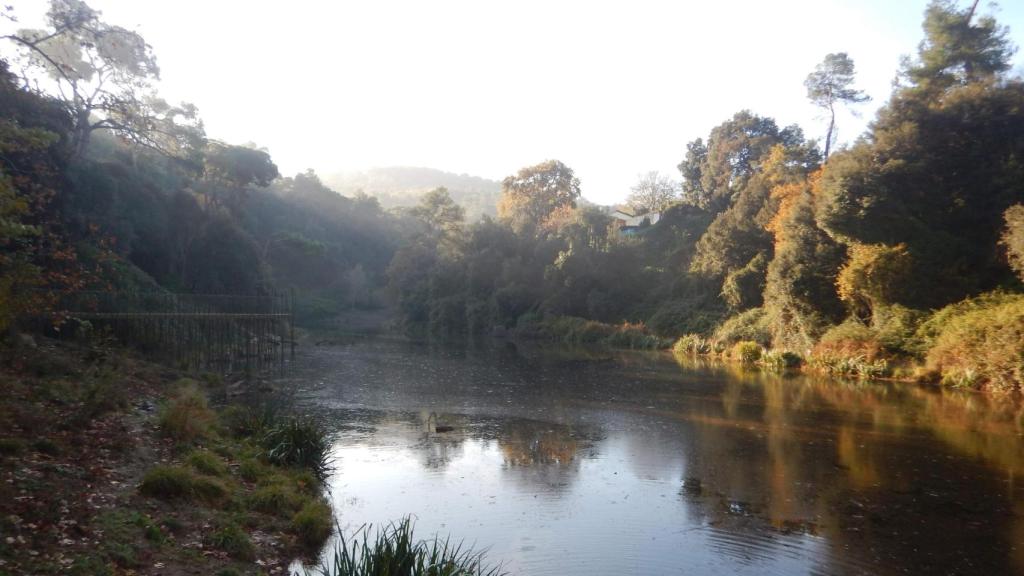 El pantano de Vallvidrera en otoño