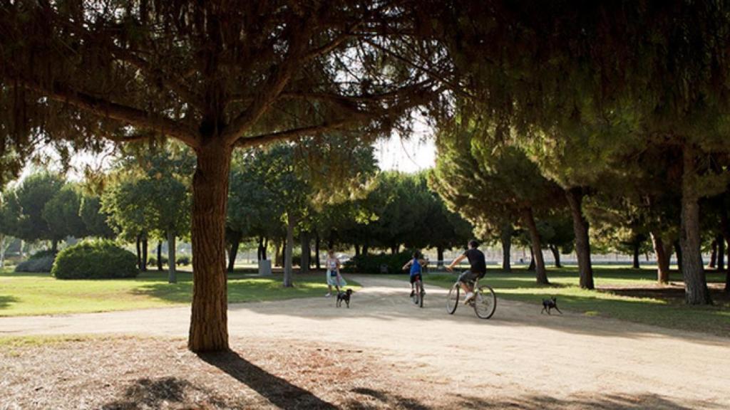 El Parc Nou de El Prat de Llobregat en una imagen de archivo