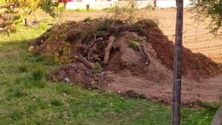 Rechazo vecinal a la reurbanización de una zona verde en Nou Barris: “Han quitado árboles que tenían 60 años”