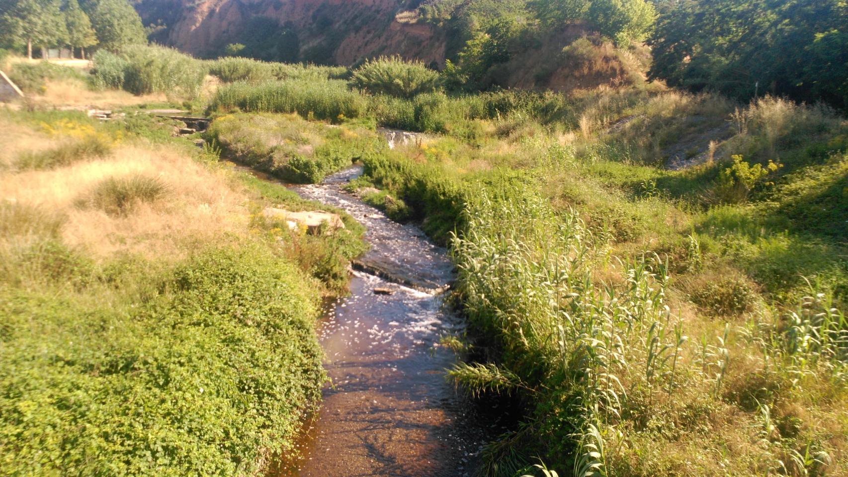 Este es el río de Barcelona llamado a ser un un atractivo turístico