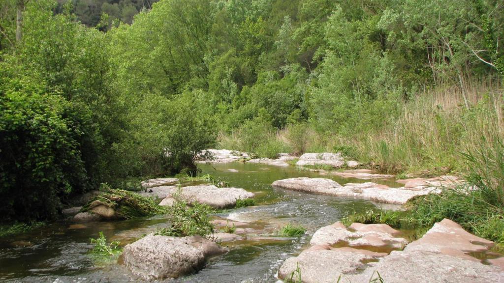 El río Ripoll