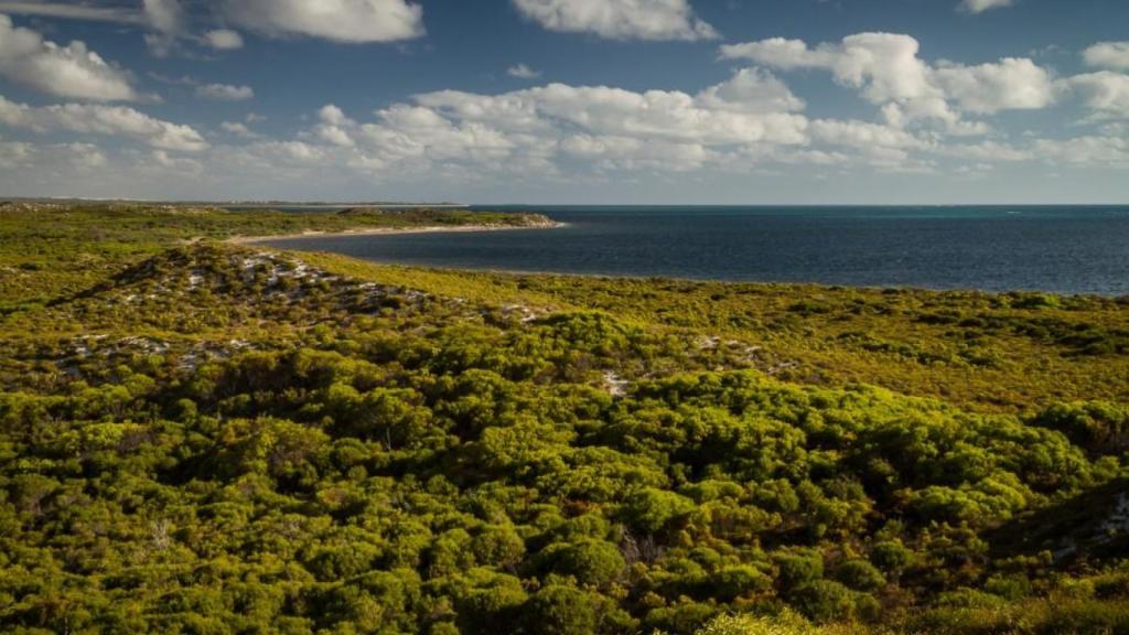 Costa del pueblo Cervantes de Australia