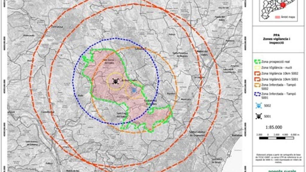 Detectados dos casos positivos de peste porcina africana en Cerdanyola (Barcelona)