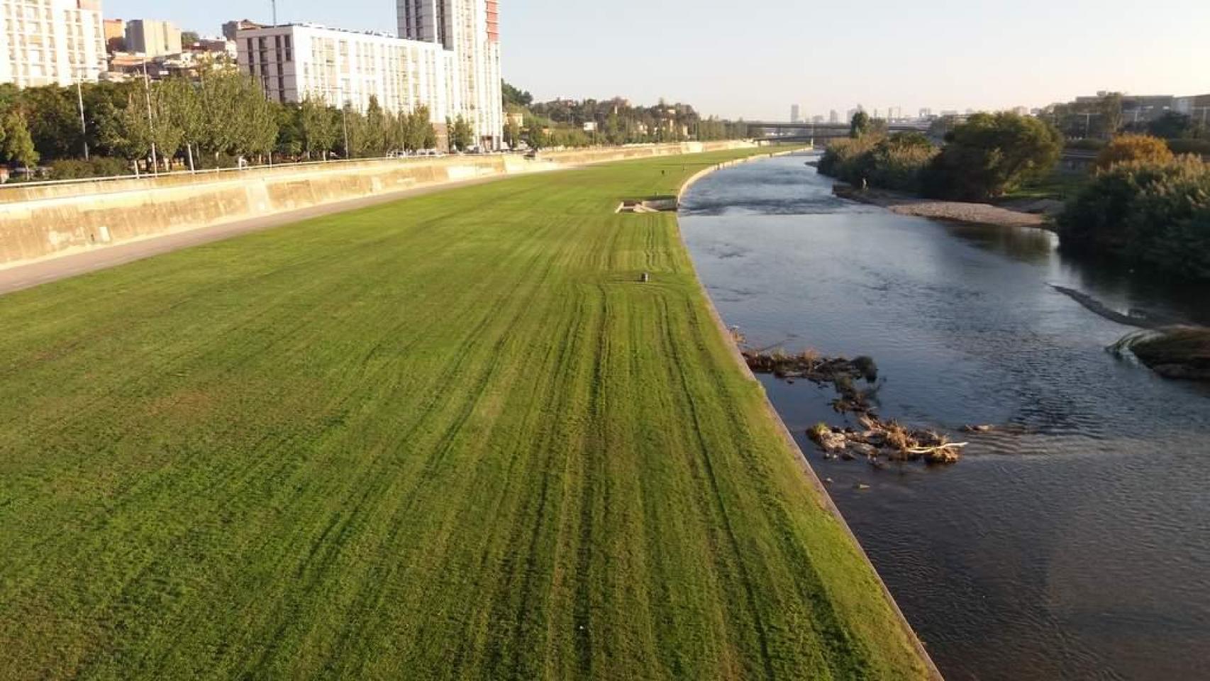 El Parc Fluvial del Besòs a su paso por Santa Coloma