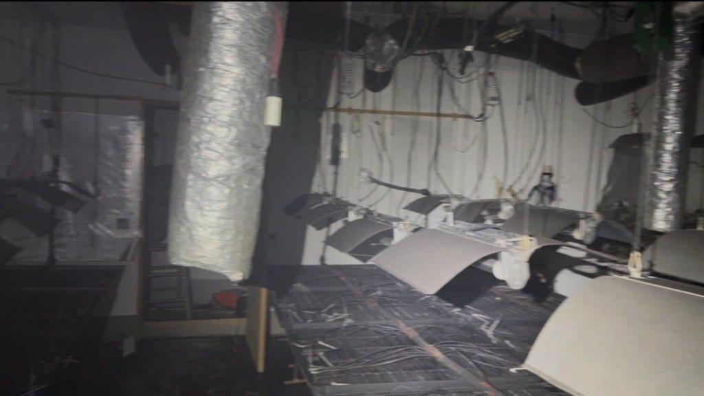 Una de les plantacions de marihuana desmantellades a Sant Martí