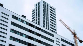 Modelos de pisos cebra