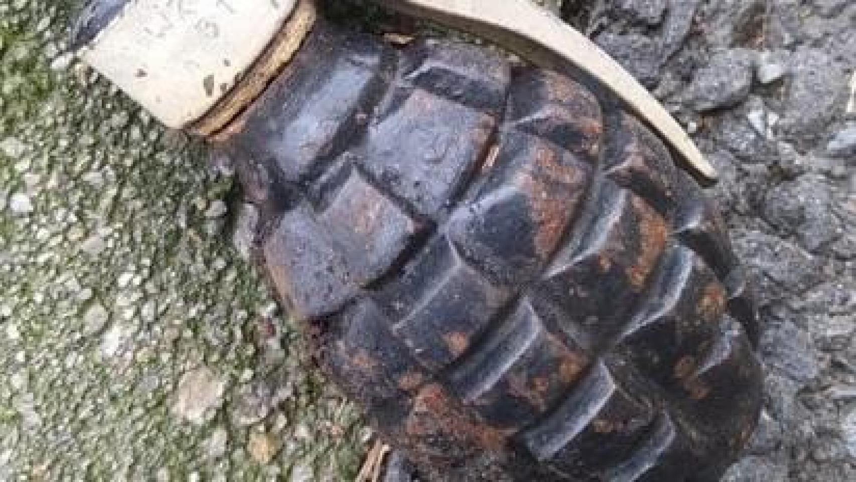 Foto de archivo de una granada de mano